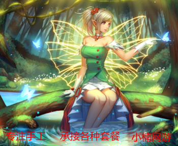 小楠专业DNF代练